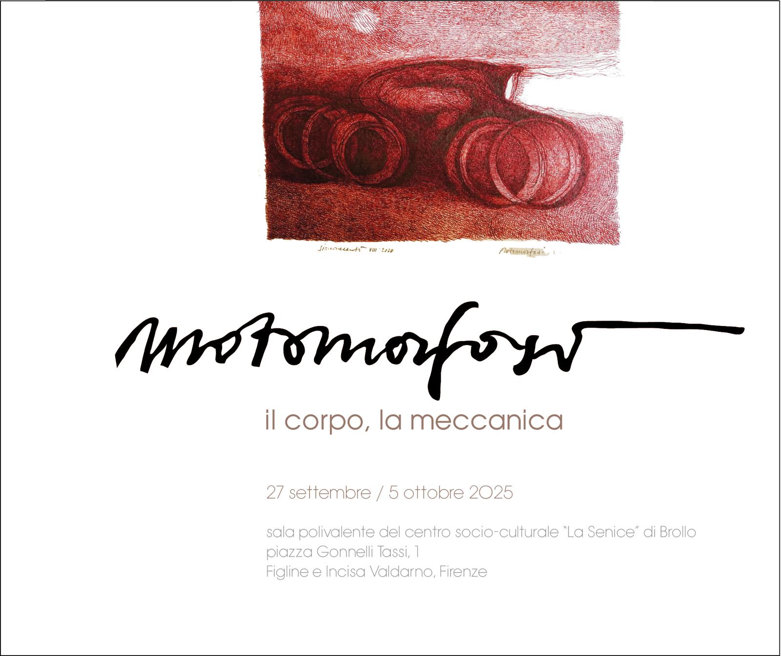 Immagine anteprima